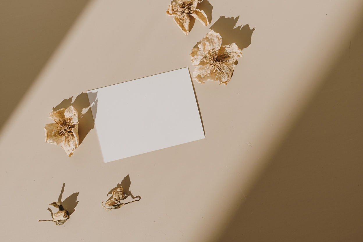White Blank Card with Dried Flowers Flatlay